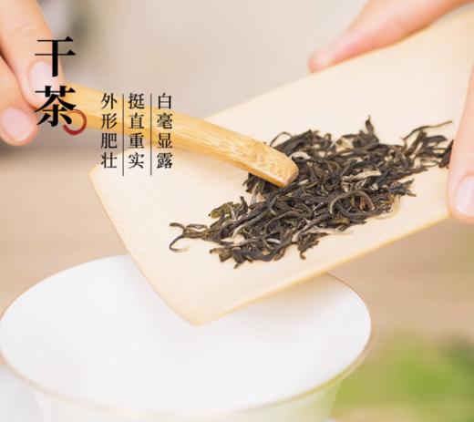 续古茶业 带气阀锁鲜袋装 凤凰单枞 鸭屎香 清香型茶叶 166g/袋 商品图6