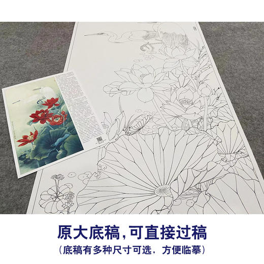 【大彩图】李晓明工笔画白描底稿《双鹭红莲》荷花白鹭临摹勾线花鸟线稿KA14 商品图1