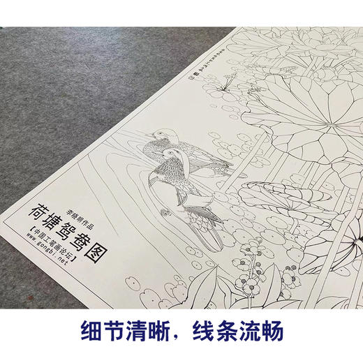 【有步骤、大彩图】李晓明工笔画白描底稿《荷塘鸳鸯图》荷花临摹勾线花鸟线稿KA15 商品图4