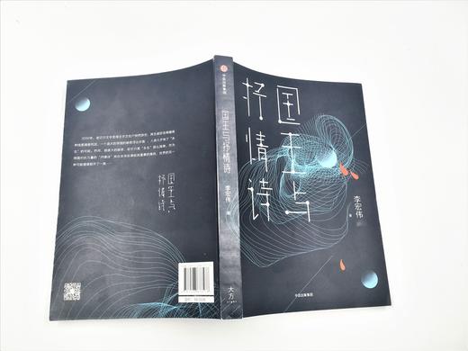 国王与抒情诗 李宏伟 著 商品图6