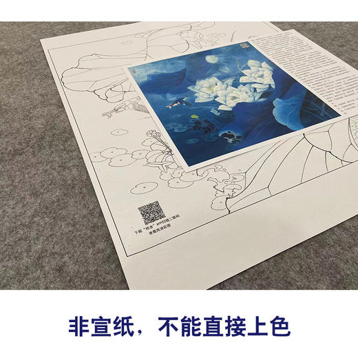 【大彩图】李晓明工笔画白描底稿斗方小品《白荷蓝翠》荷花临摹勾线花鸟线稿KA06 商品图2
