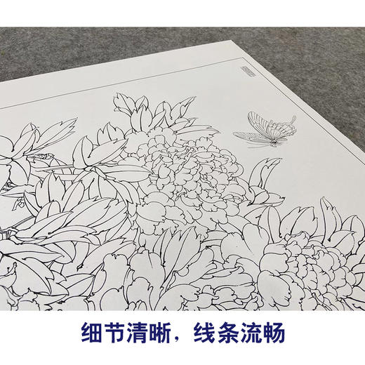 【大彩图】李晓明工笔画白描底稿斗方小品《和风花欲舞》牡丹临摹勾线花鸟线稿K041 商品图4