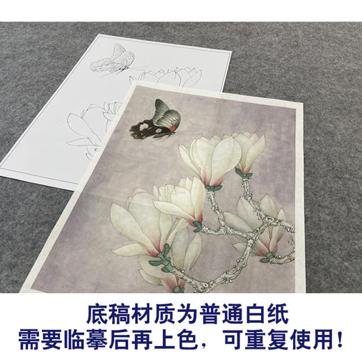 【大彩图】李晓明工笔画白描底稿《玉兰花蝴蝶》临摹勾线花鸟线稿K104 商品图3