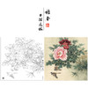 【大彩图】李晓明工笔画白描底稿斗方小品《比翼白头图》牡丹临摹勾线花鸟线稿K043 商品缩略图0