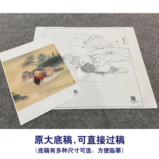【大彩图】李晓明工笔画白描底稿斗方小品《睡莲鸳鸯》荷花临摹勾线花鸟线稿K109 商品图1