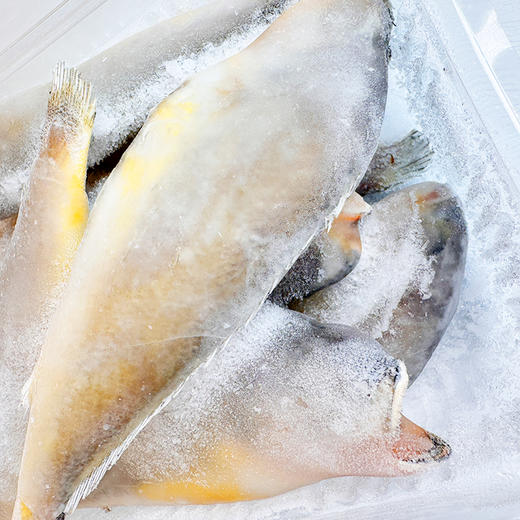 小黄鱼 1袋2斤 商品图4