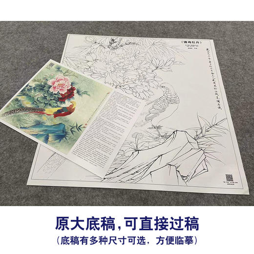 【大彩图】李晓明工笔画白描底稿斗方小品《牡丹锦鸡》临摹勾线花鸟线稿KA12 商品图1