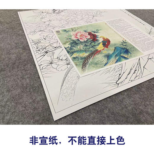 【大彩图】李晓明工笔画白描底稿斗方小品《牡丹锦鸡》临摹勾线花鸟线稿KA12 商品图2