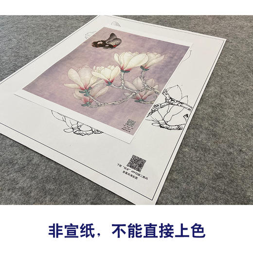 【大彩图】李晓明工笔画白描底稿《玉兰花蝴蝶》临摹勾线花鸟线稿K104 商品图2