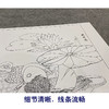 【大彩图】李晓明工笔画白描底稿斗方小品《睡莲鸳鸯》荷花临摹勾线花鸟线稿K109 商品缩略图4
