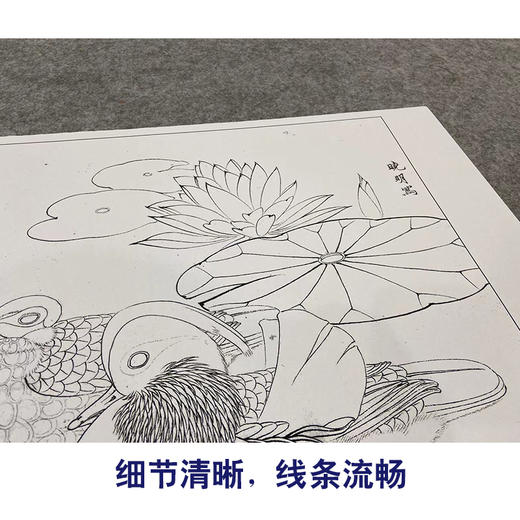 【大彩图】李晓明工笔画白描底稿斗方小品《睡莲鸳鸯》荷花临摹勾线花鸟线稿K109 商品图4