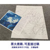 【大彩图】李晓明工笔画白描底稿斗方小品《白荷蓝翠》荷花临摹勾线花鸟线稿KA06 商品缩略图1