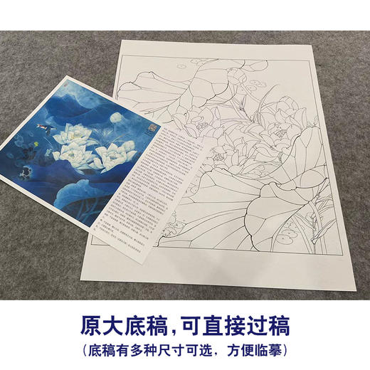 【大彩图】李晓明工笔画白描底稿斗方小品《白荷蓝翠》荷花临摹勾线花鸟线稿KA06 商品图1