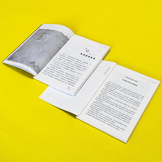 《中英双语-疯狂侦探团》（插图典藏版） 商品图9