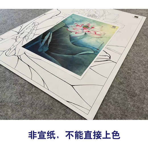 【大彩图】李晓明工笔画白描底稿《花娇欲语》荷花临摹勾线花鸟线稿K084 商品图2
