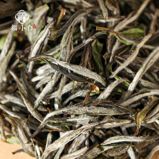 福小白 福地福鼎白茶2022一级白牡丹75g 商品图4