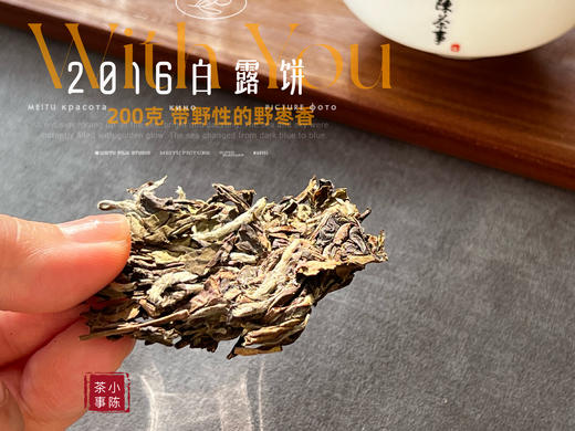 【7年来首发】2016白露饼，太姥山原仓储存，带着野性植物气息的枣香，独树一帜！ 商品图7