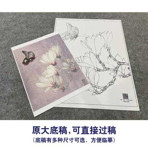 【大彩图】李晓明工笔画白描底稿《玉兰花蝴蝶》临摹勾线花鸟线稿K104 商品图1