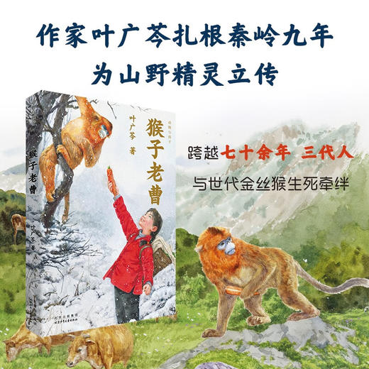 叶广芩童年系列五部曲（全五册）  北京少年儿童出版社 商品图1