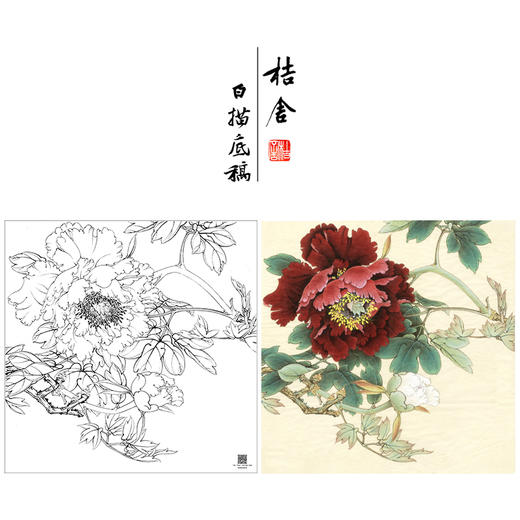 【大彩图】李晓明工笔画白描底稿斗方小品《暖香醉艳》牡丹临摹勾线花鸟线稿K044 商品图0