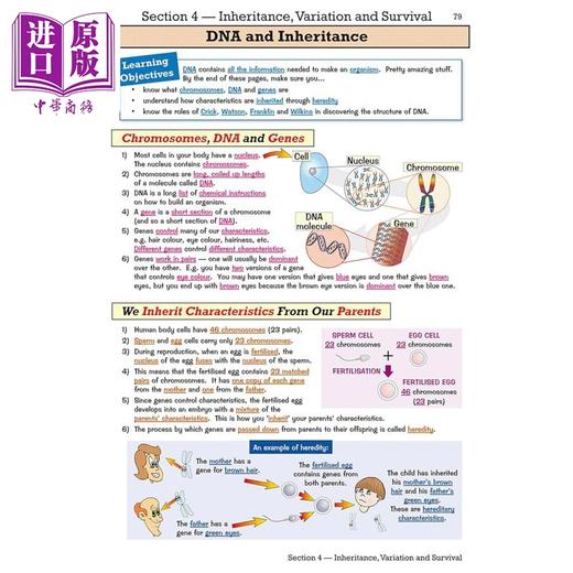 英国CGP原版物理化学生物KS3进阶学习问题书含答案套装4册 商品图2