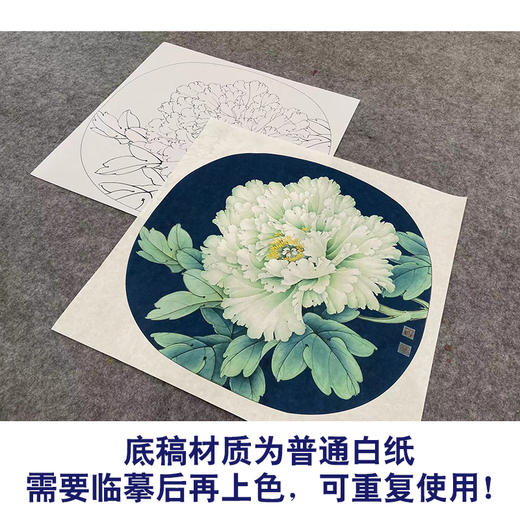【大彩图】李晓明工笔画白描底稿圆形小品《豆绿》牡丹临摹勾线花鸟线稿KA05 商品图3