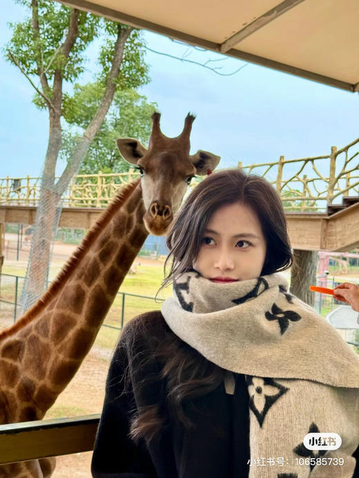 Lv羊绒围巾-黑灰色 商品图9