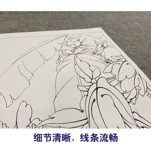 【大彩图】李晓明工笔画白描底稿斗方小品《赵粉凤尾蝶》牡丹临摹勾线花鸟线稿KA09 商品图4