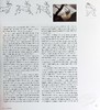 预售 【中商原版】生命的幻觉 迪斯尼动画 The Illusion Of Life Disney Animation 英文原版 Frank T Ollie J 动画技术 原画草图 商品缩略图5