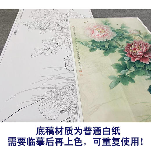 【大彩图】李晓明工笔画白描底稿《富贵天香图》牡丹鸽子临摹勾线花鸟线稿KA13 商品图3