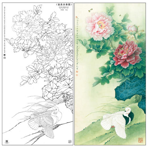 【大彩图】李晓明工笔画白描底稿《富贵天香图》牡丹鸽子临摹勾线花鸟线稿KA13 商品图0