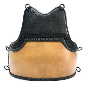 【惠光胴】预售 碳纤维 生地胴 碳纤维胴