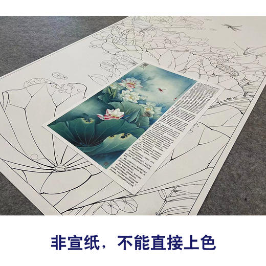 【大彩图】李晓明工笔画白描底稿《清气满乾坤》荷花临摹勾线花鸟线稿KA18 商品图2