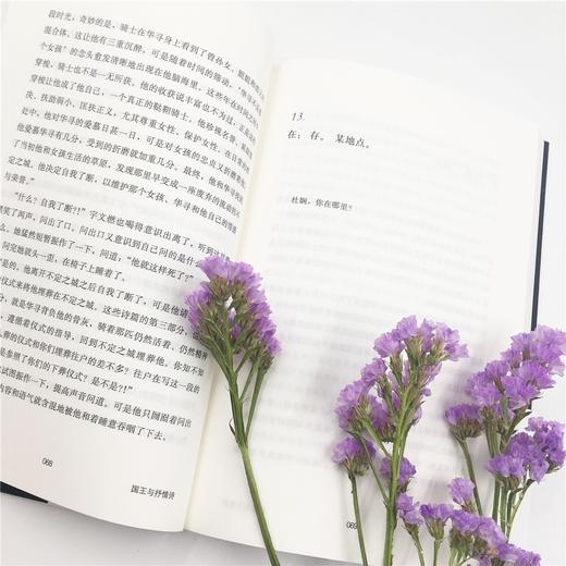 国王与抒情诗 李宏伟 著 商品图5