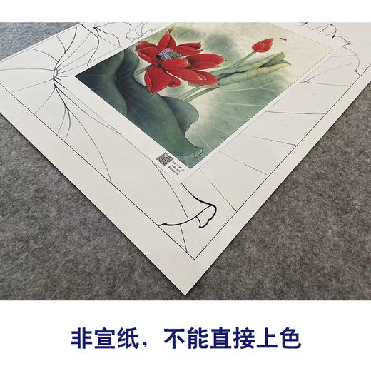 【大彩图】李晓明工笔画白描底稿《若霞》红荷花临摹勾线花鸟线稿K092 商品图2