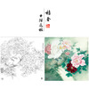 【大彩图】李晓明工笔画白描底稿斗方小品《独舞花间》牡丹鹦鹉临摹勾线花鸟线稿KA07 商品缩略图0