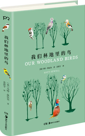 我们林地里的鸟