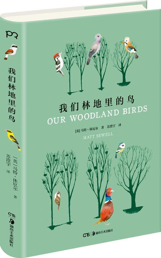 我们林地里的鸟 商品图0