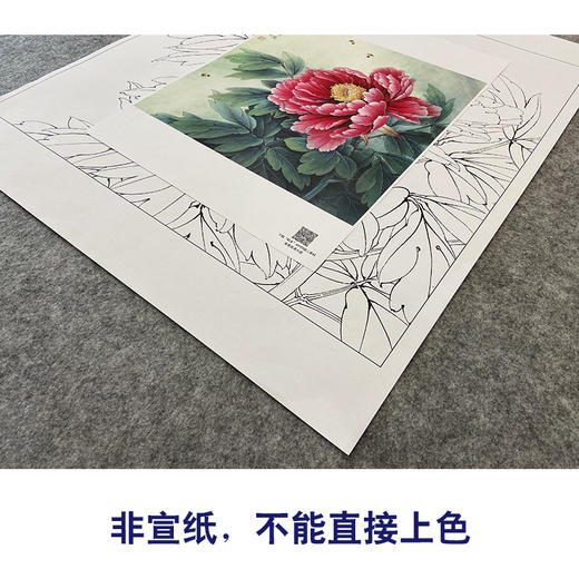 【大彩图】李晓明工笔画白描底稿斗方小品《葛巾紫》牡丹临摹勾线花鸟线稿K040 商品图2