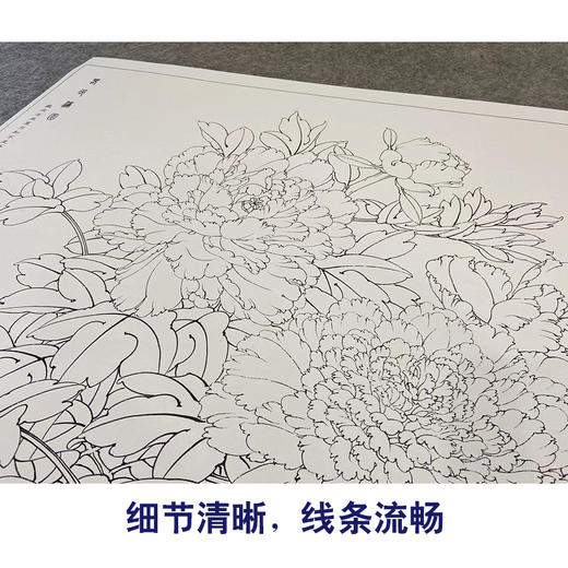 【大彩图】李晓明横幅工笔画白描底稿《春色满园》牡丹临摹勾线花鸟线稿KA20 商品图4