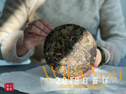 【7年来首发】2016白露饼，太姥山原仓储存，带着野性植物气息的枣香，独树一帜！ 商品图1