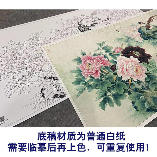 【大彩图】李晓明横幅工笔画白描底稿《群芳谱》牡丹临摹勾线花鸟线稿KA25 商品图3