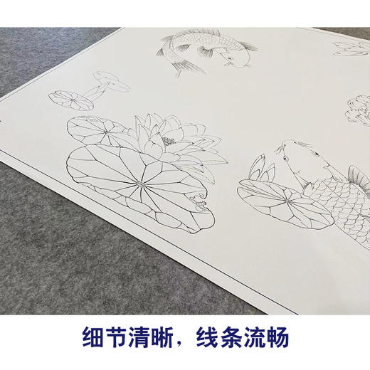 【大彩图】李晓明横幅工笔画白描底稿《富贵有鲤图》牡丹鲤鱼临摹勾线花鸟线稿KA22 商品图4
