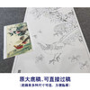 【大彩图】李晓明工笔画白描底稿《锦绣前程图》牡丹锦鸡临摹勾线花鸟线稿K049 商品缩略图1