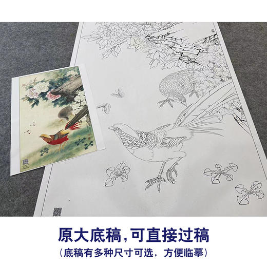 【大彩图】李晓明工笔画白描底稿《锦绣前程图》牡丹锦鸡临摹勾线花鸟线稿K049 商品图1