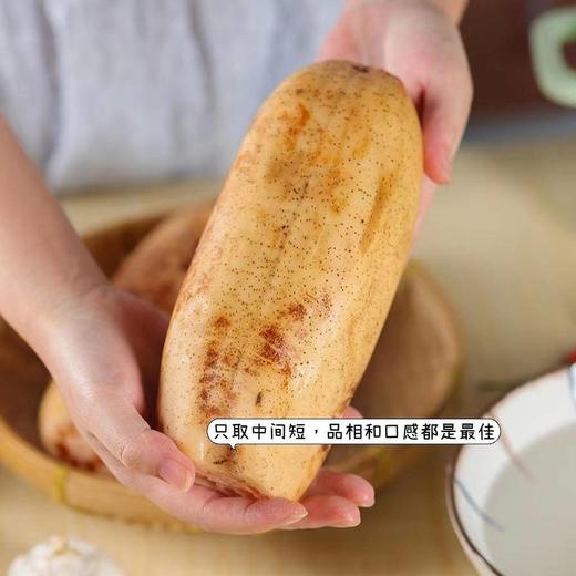 【2024年洪湖粉藕来啦！粉糯香甜 】不粉包赔！现阶段 建议使用燃气高压锅炖更香更粉糯！ 商品图7