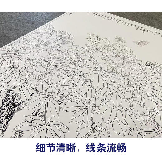 【大彩图】李晓明横幅工笔画白描底稿《富贵凝香图》牡丹临摹勾线花鸟线稿KA21 商品图4