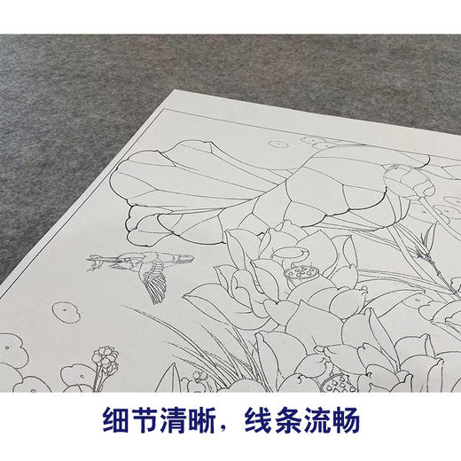 【大彩图】李晓明工笔画白描底稿斗方小品《白荷蓝翠》荷花临摹勾线花鸟线稿KA06 商品图4