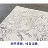【大彩图】李晓明工笔画白描底稿斗方小品《独舞花间》牡丹鹦鹉临摹勾线花鸟线稿KA07 商品缩略图4