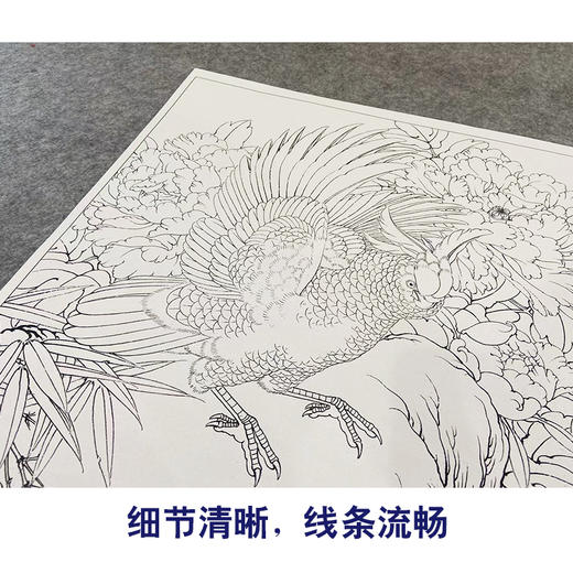 【大彩图】李晓明工笔画白描底稿斗方小品《独舞花间》牡丹鹦鹉临摹勾线花鸟线稿KA07 商品图4